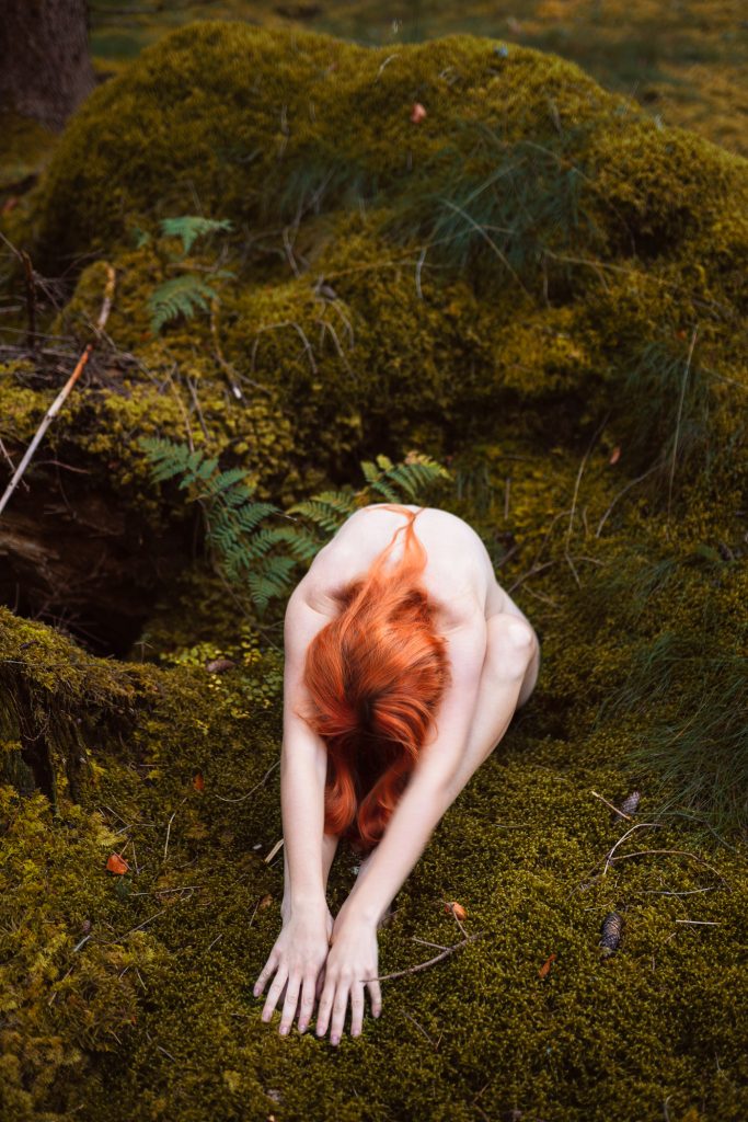 Mossy Fox - Katia Fae - Photo & Art Photography